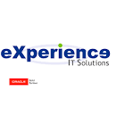 eXperience Ingeniería y Servicios Logo png
