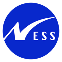 Ness Digital Engineering Logotipo png
