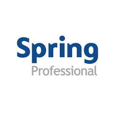 Spring Professional IT Logo jpg