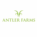 Antler Logo png