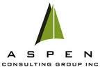 Aspen Consulting Group Profil firmy