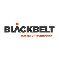 Blackbelt Technology Vállalati profil