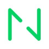 Netguru Logo png