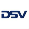 DSV Logo png