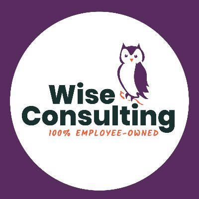 Wise Consulting Logo jpg