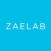 Zaelab Company Profile