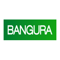 Bangura Solutions Logo jpg