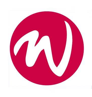 Wise IT Logo jpg
