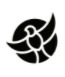Blackbird Logistics Logotipo jpeg