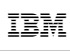 Bluewolf, an IBM Company Siglă jpeg
