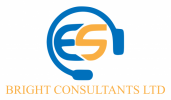 ES Bright Consultants LTD Profil firmy
