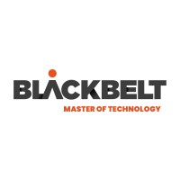 BlackBelt Technology Kft. Logó jpg