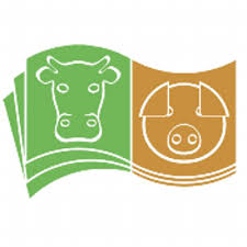 CONVIS Логотип jpg