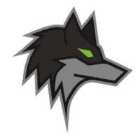 Dark Wolf Solutions Логотип jpg