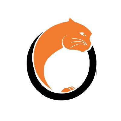 Ocelot LLC Logo jpg