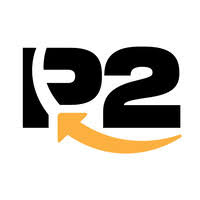 P2 Solutions Group LLC Perfil da companhia