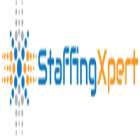 Xpert Staffing Logo png
