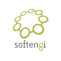 Softengi Profil de la société