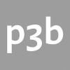 p3b ag Vállalati profil