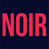 Noir Consulting Company Profile