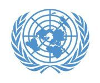 United Nations Company Profile