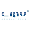 CMV Consultores Profil firmy