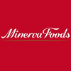 Minerva профіль компаніі