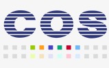COS Global Services Company Profile