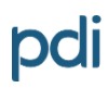PDI Profilul Companiei