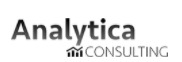 Analytica Consulting Profil de la société