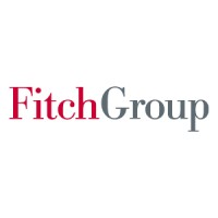 Fitch Group Firmenprofil