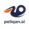 Peliqan Company Profile
