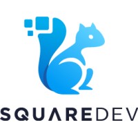 SquareDev Company Profile