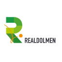 Realdolmen Company Profile