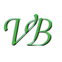 V B Technologies Company Profile
